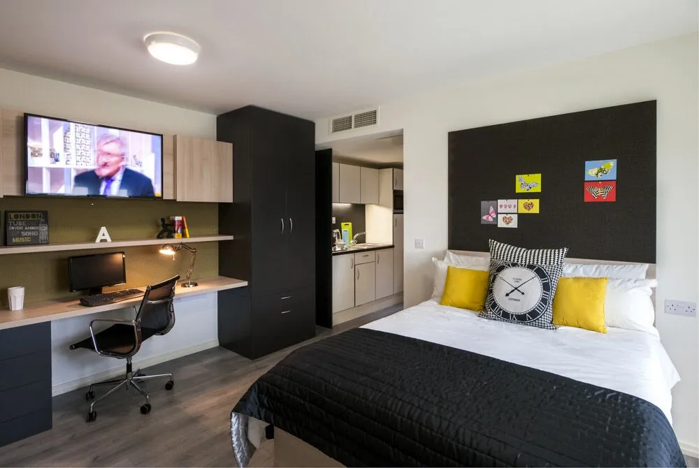 London's great property, The Lyra 🏢, offers comfortable studio apartments!