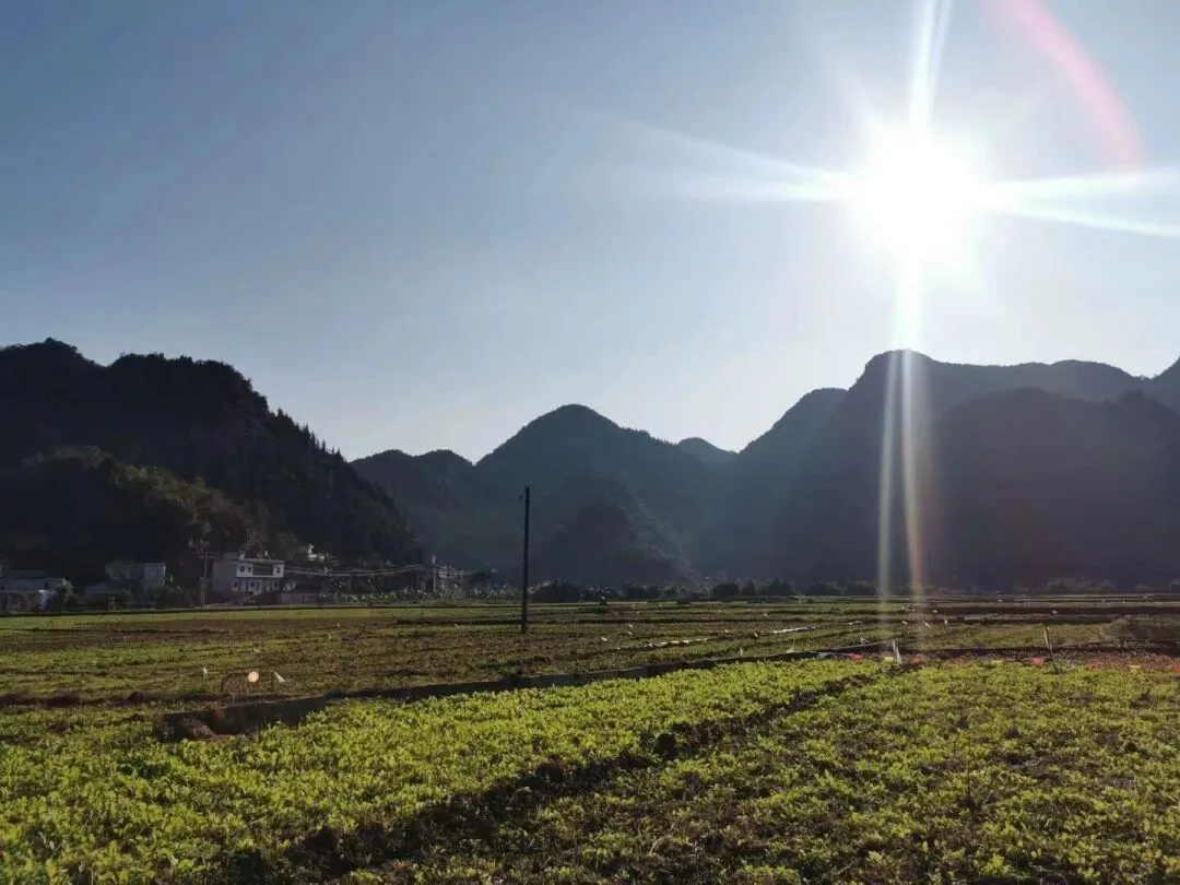 去山里，去海边，去有你的地方