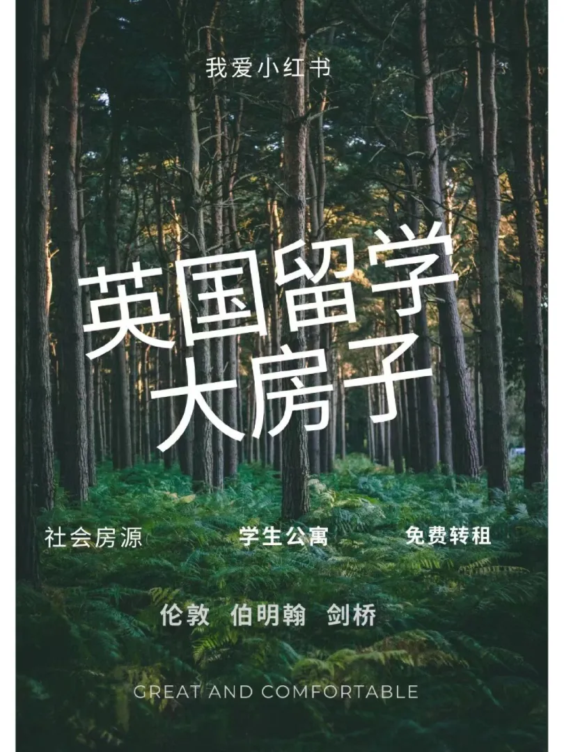 伯明翰留学｜