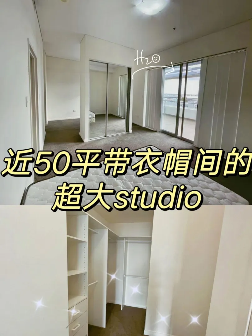 不到600😱可以在悉尼蹲到这么大的studio