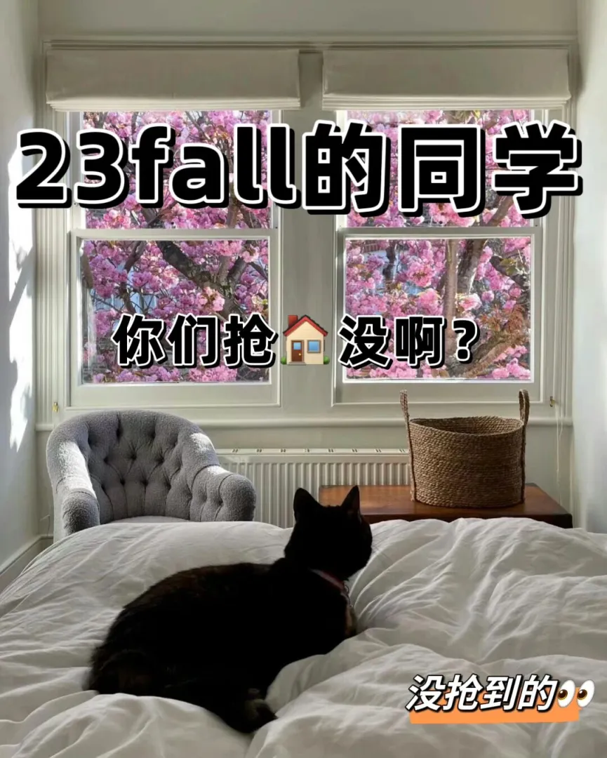 23fall的宝子们你们真的不着急么😯