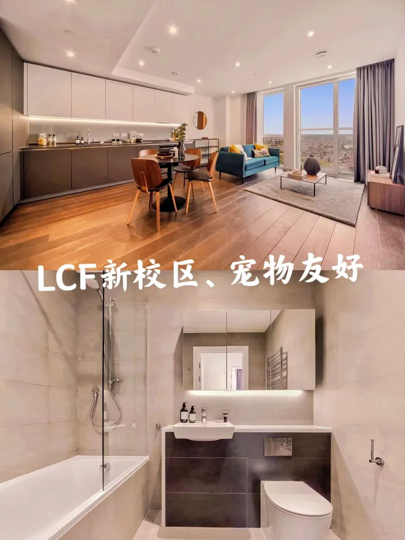 伦敦生活|LCF新校区，宠物友好