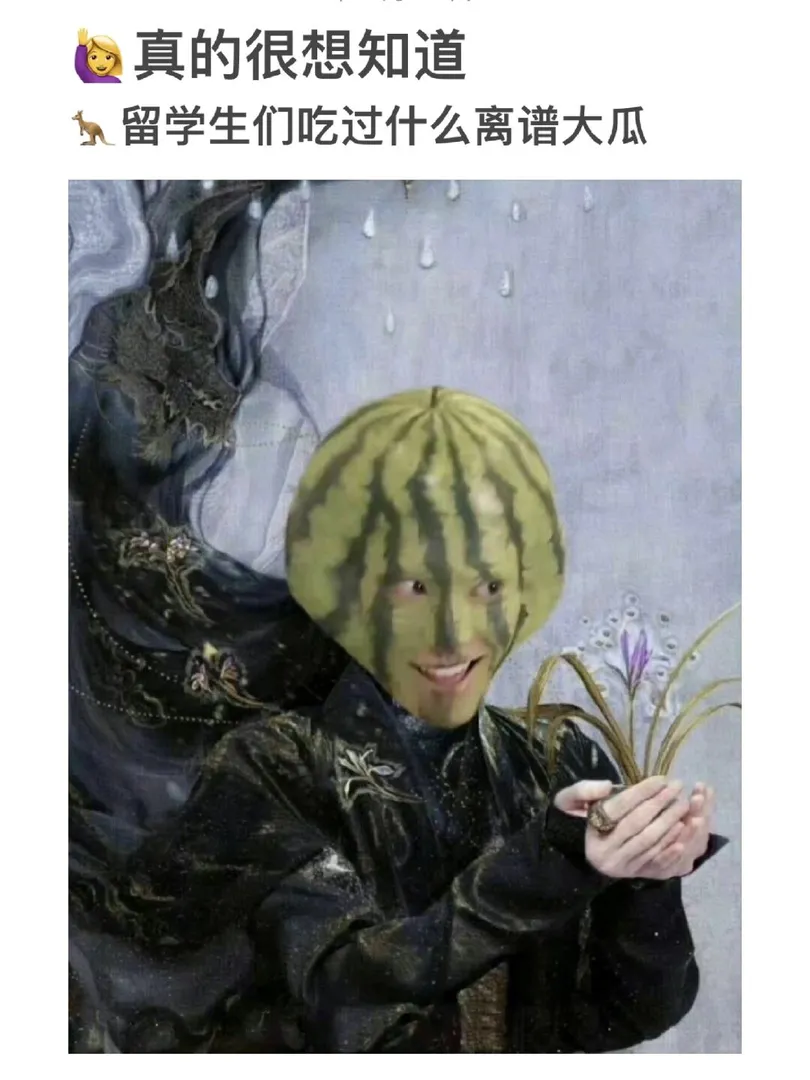 速来吃瓜🍉