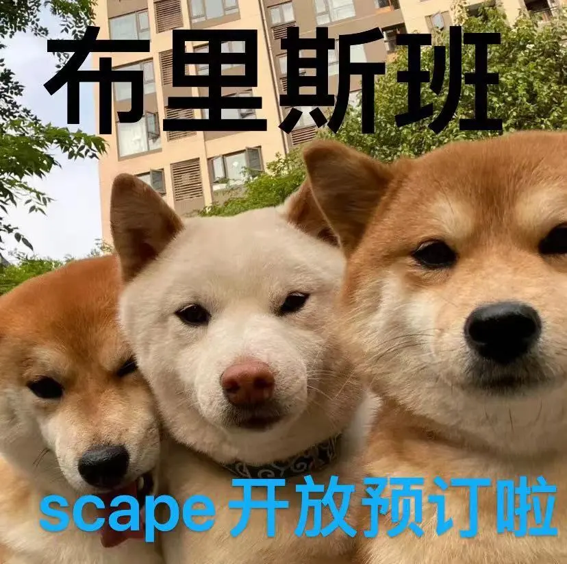 冲啊！预定Scape来安家🏠