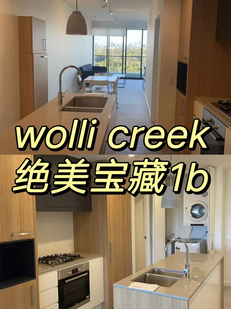 美哭我的wolli creek绝美高层1b😭