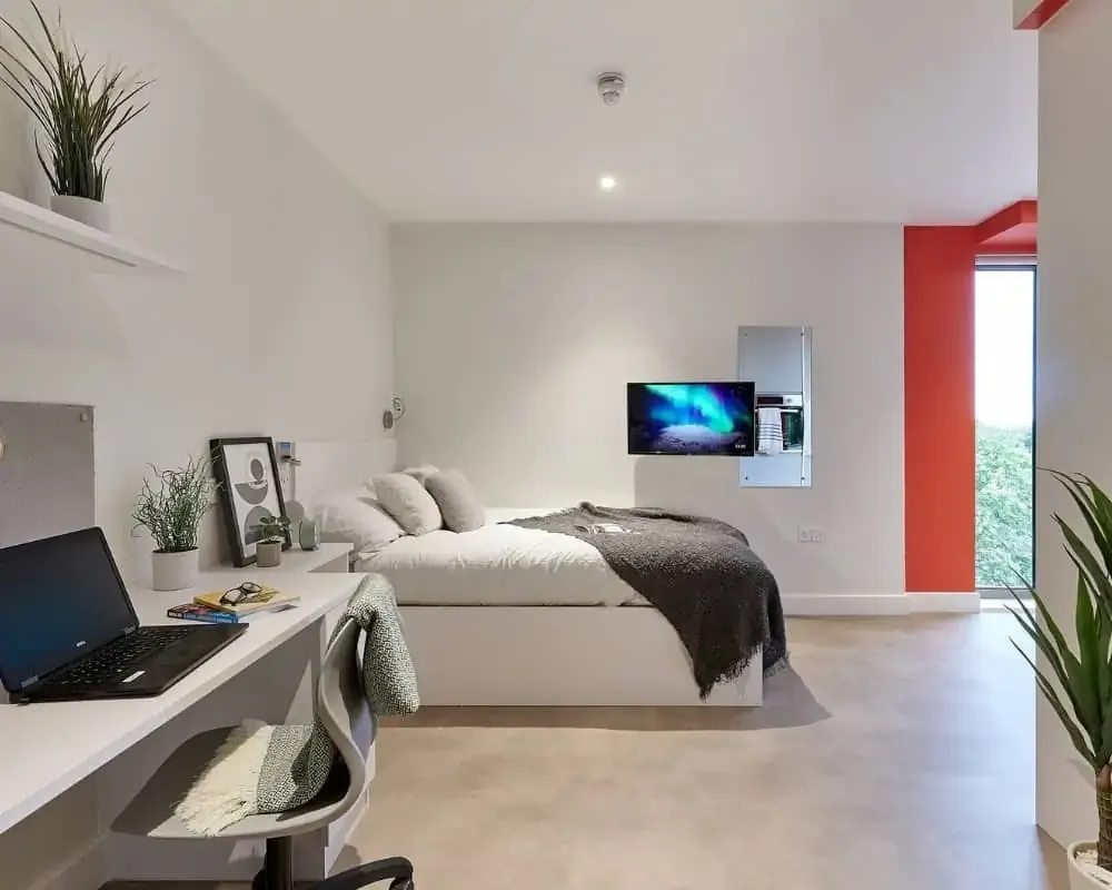 Oh my goodness! How amazing is it to rent a spacious 30-square-meter apartment in London?