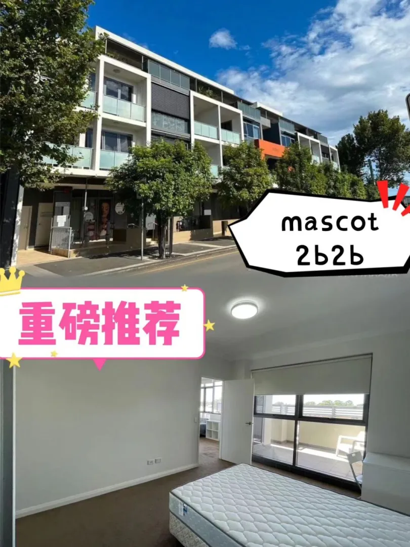 七月入住mascot吧