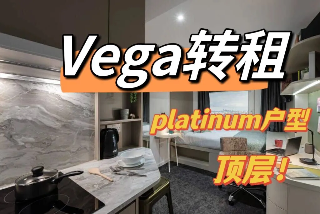 转租Vega 超大户型 顶层 风景绝美！可走官方