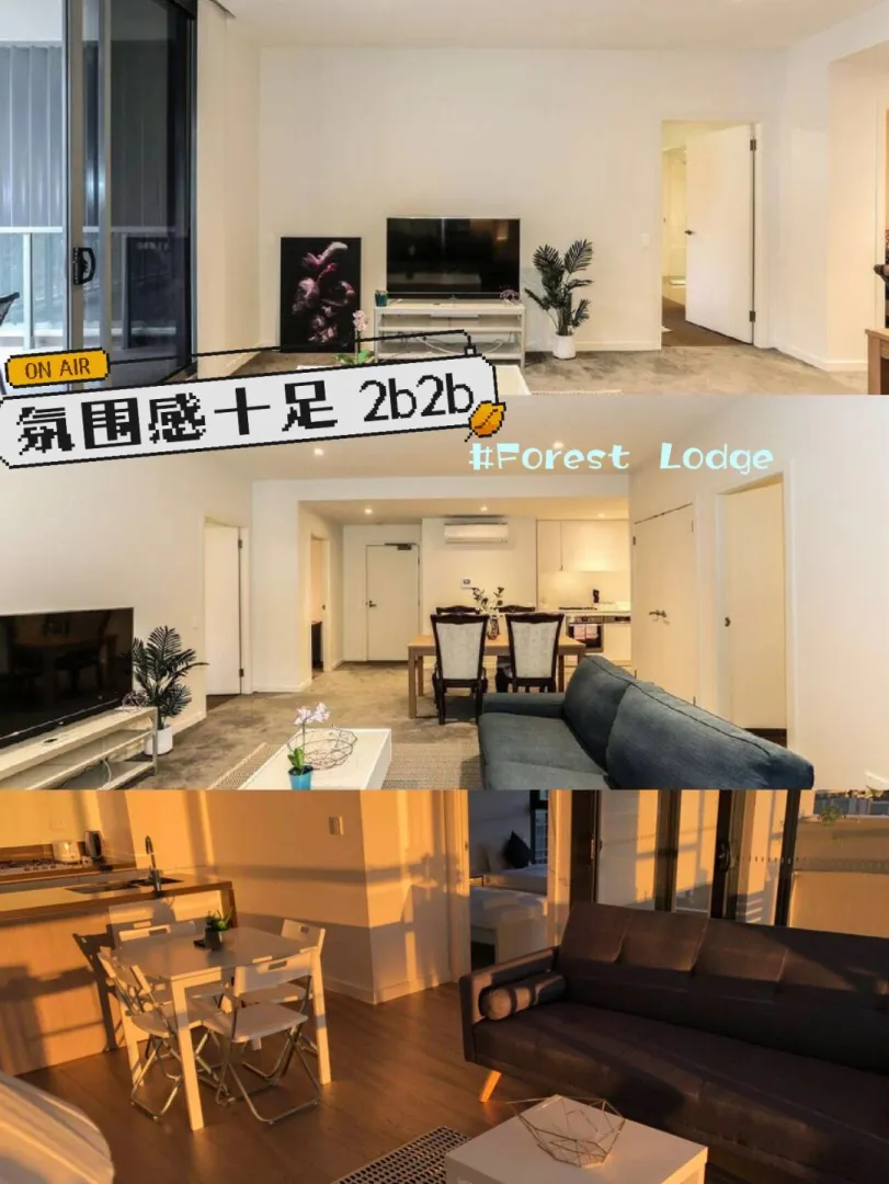 悉尼租房｜Forest Lodge温馨氛围2b2b包家具