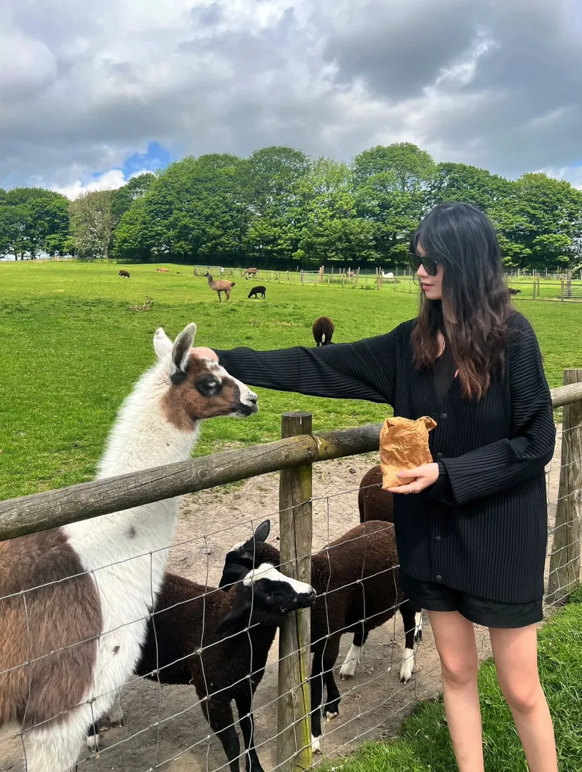 曼城Farm农场一日游 🐄🦙🐏🐇