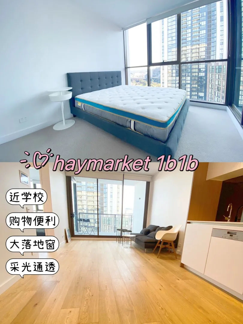 Haymarket 大空间1b 近usyd和uts