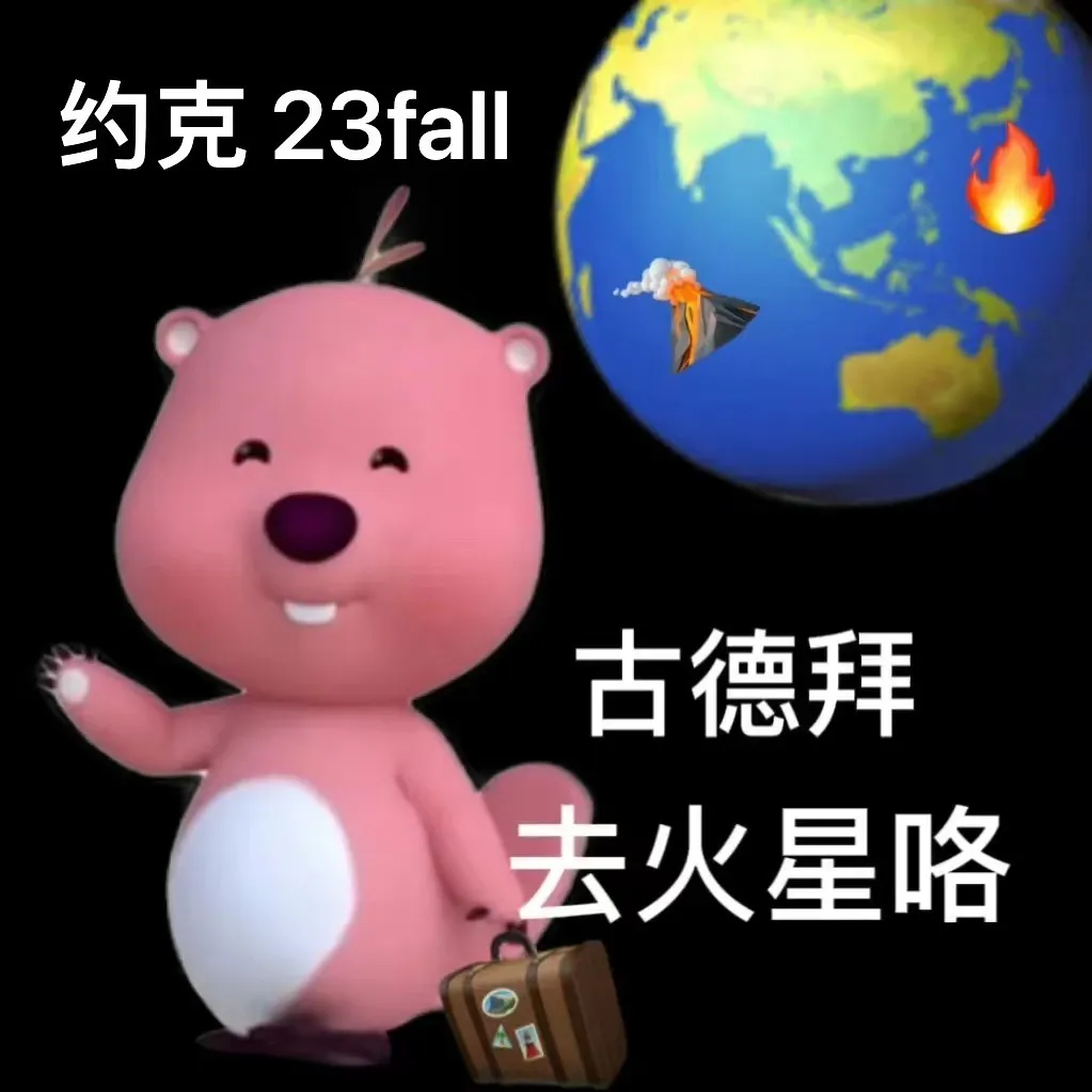 约克23fall 进！主打一个陪伴