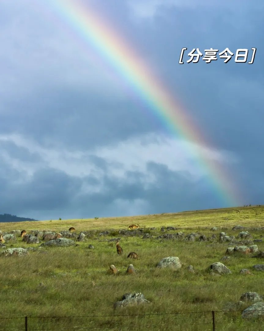 浪漫生活的记录者,堪培拉,堪培拉生活,在平凡日子里热爱生活,记录生活,治愈,治愈自己