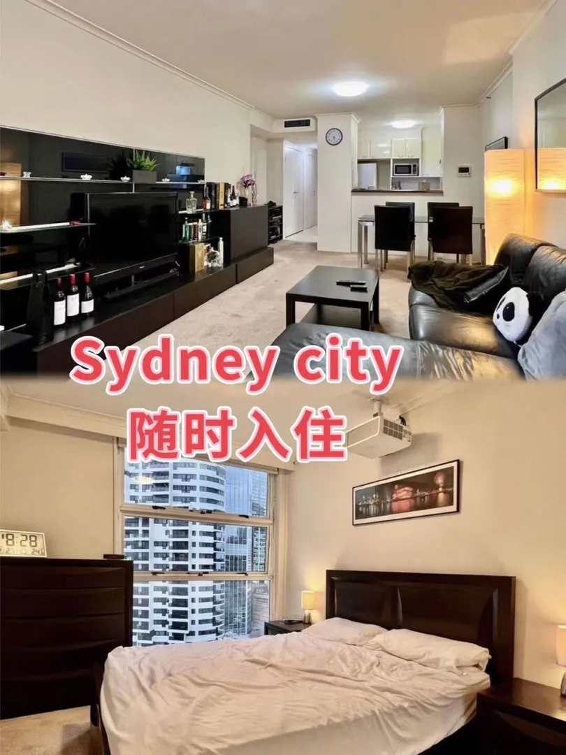 6月入住city吧，免费看烟花哦