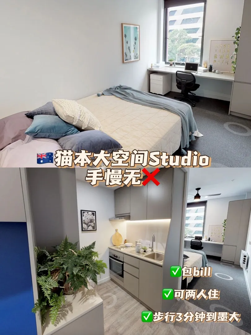 報告‼️貓本大面積Studio還能撿漏🐛