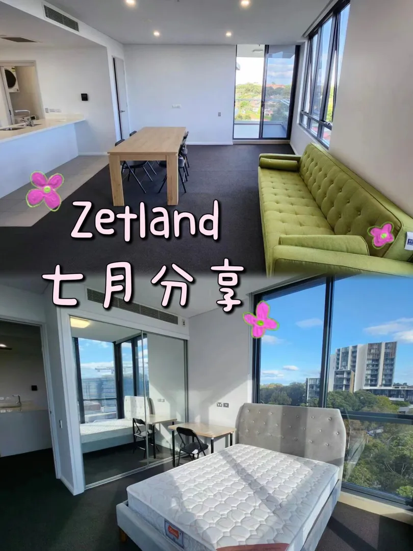 七月入住zetland，高楼层采光就是好