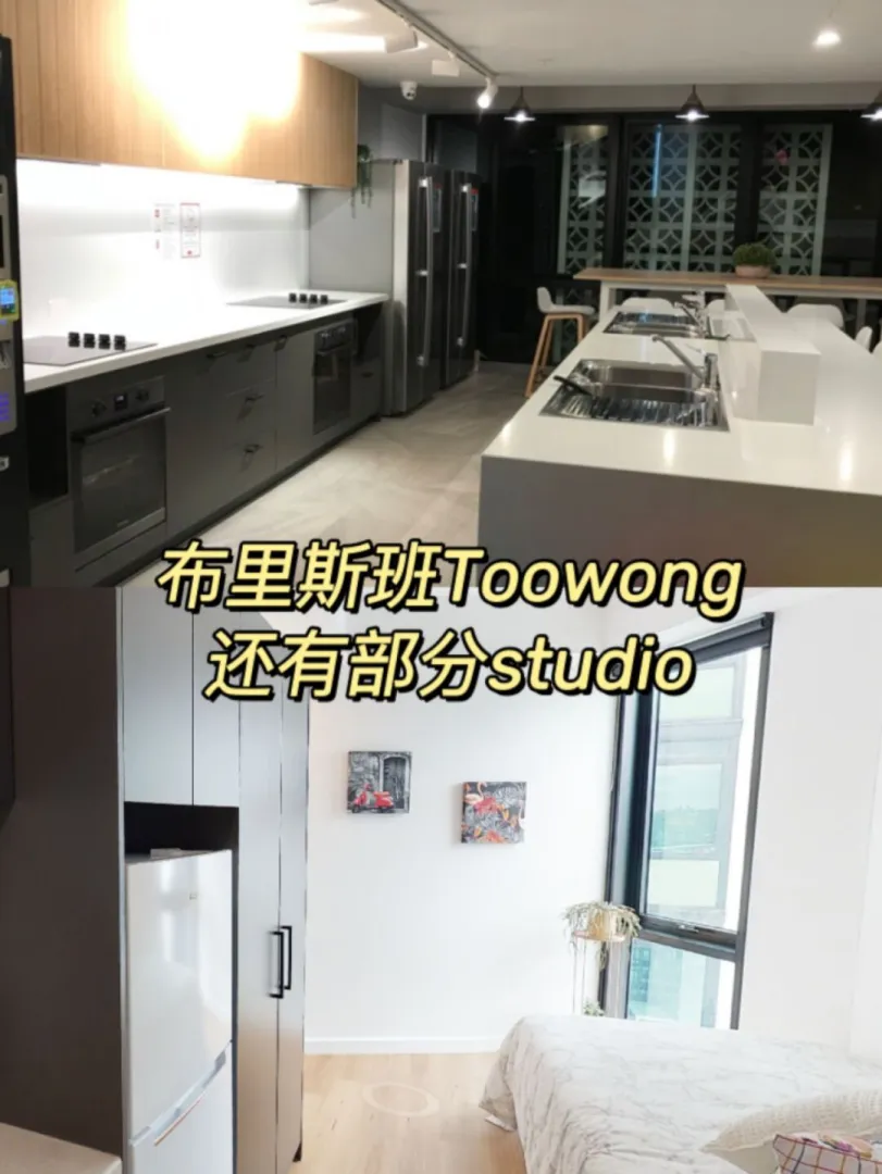 布里斯班租房｜Toowong还有459的studio