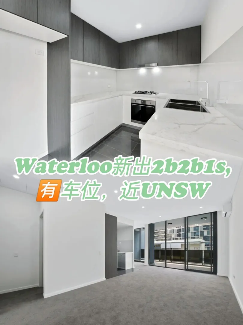 悉尼租房,留学澳洲,悉尼Waterloo,悉尼留学,unsw,USYD,uts,悉尼生活