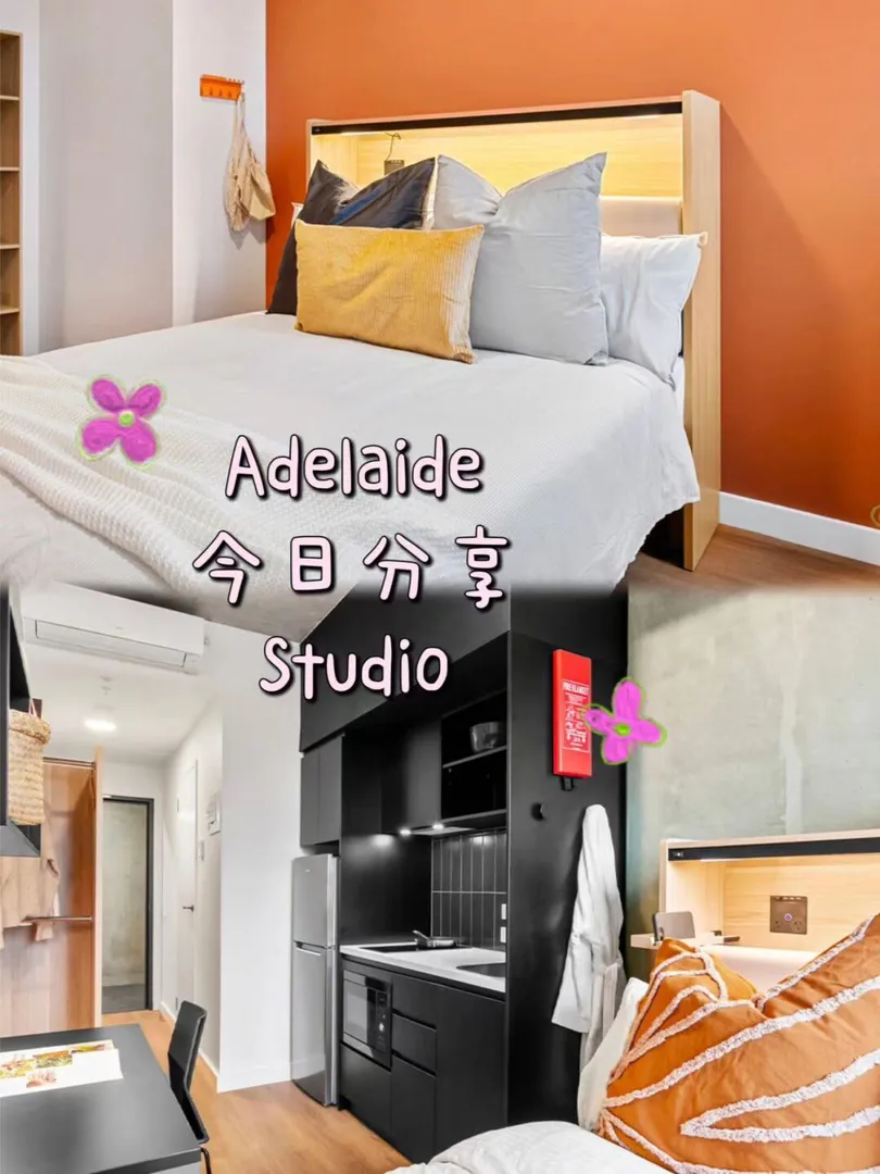 八月可入住的studio，就在阿德的市中心哦！