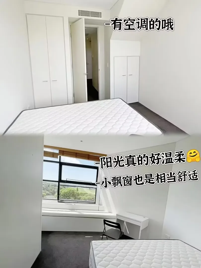 不是吧，走路5分钟到unsw的2b没人要❓