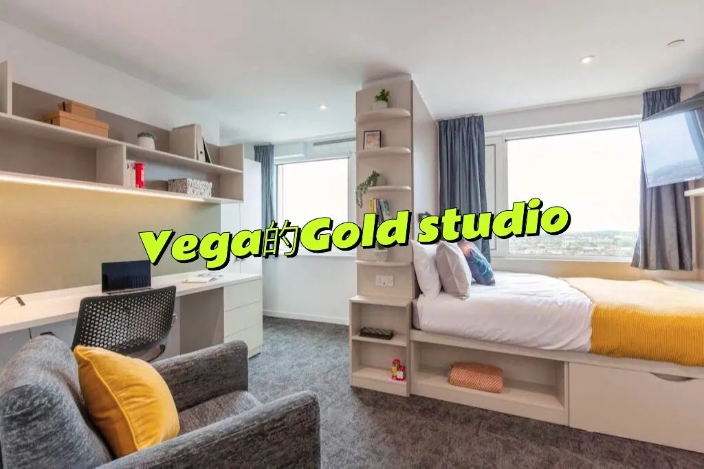 Come and check out the high-rise London Vega Gold studio for a great deal!