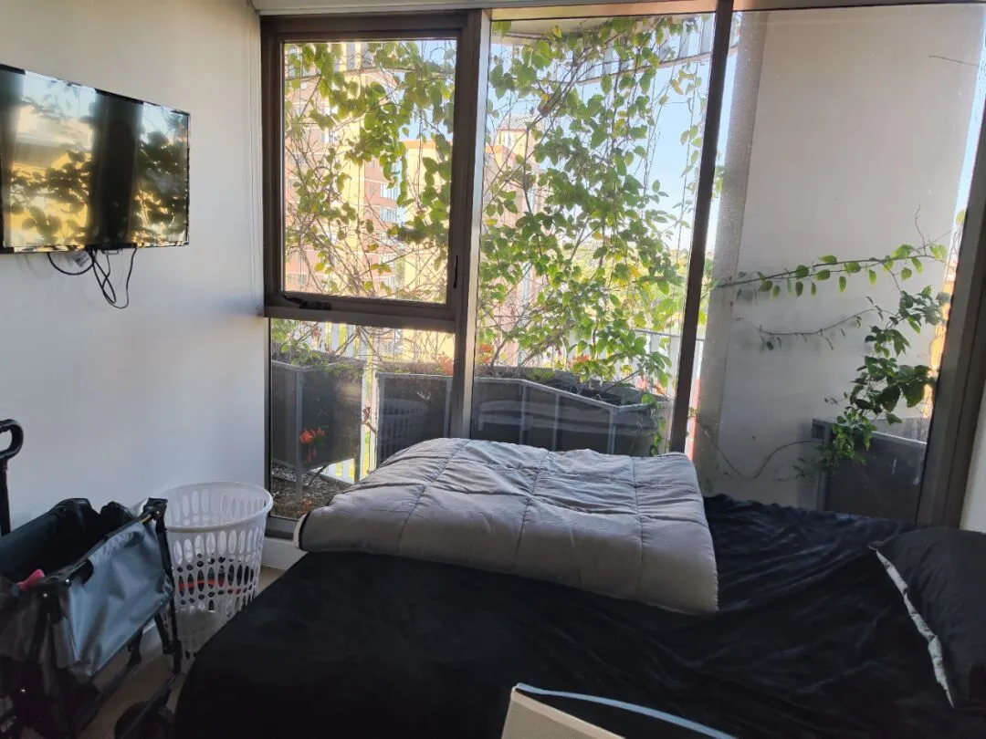 綠意盎然！布里斯班熱帶studio🌿