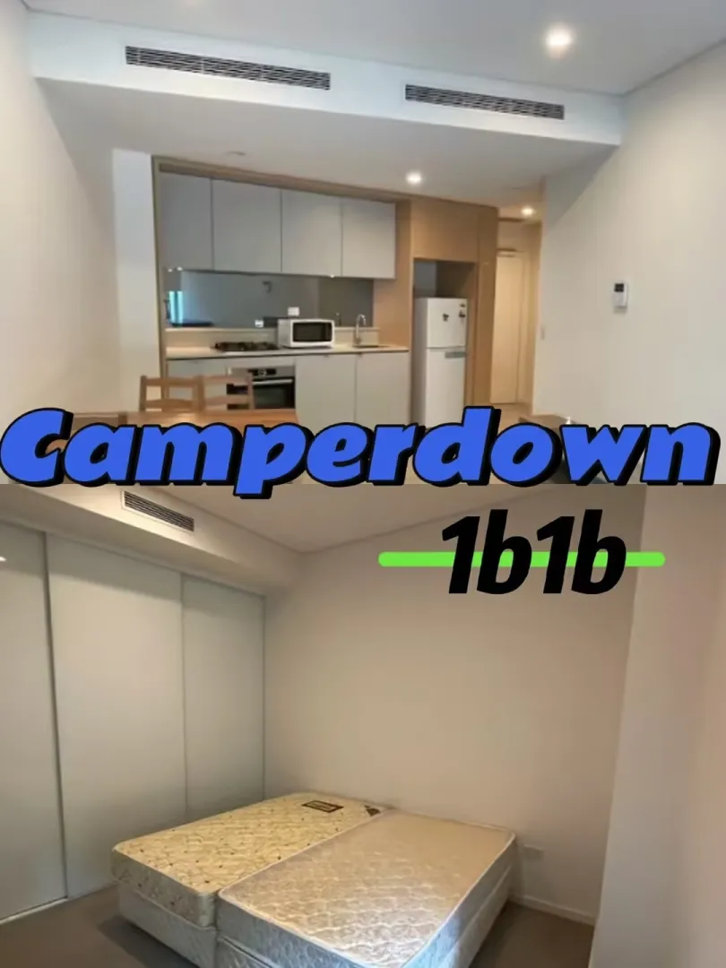 捡漏了家人们 7月底Camperdown的1b1b哎