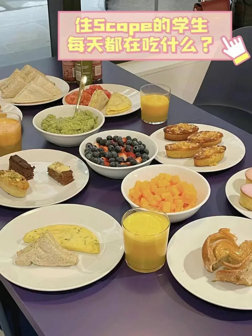 【墨尔本合租好房，包两餐！🍽️】