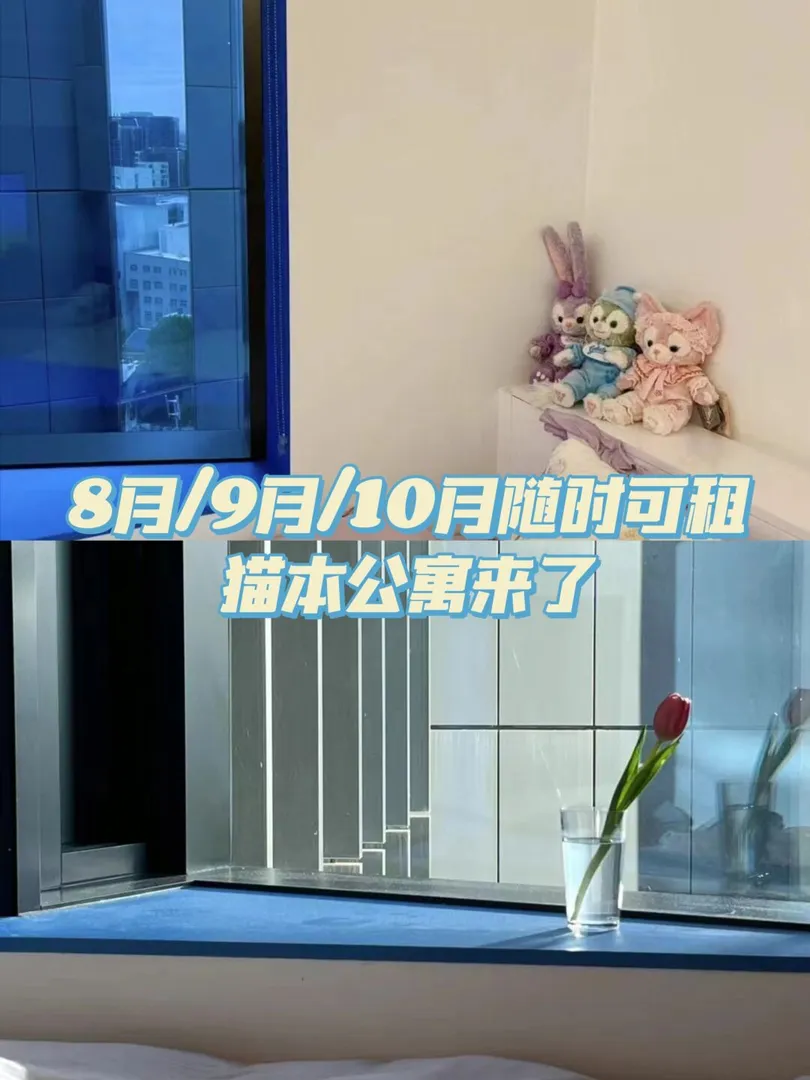 貓本公寓轉租｜隨時🉑️租｜快來戳我咯！
