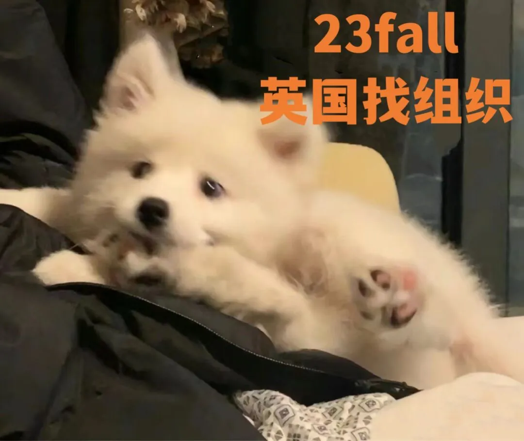 🇬🇧23伦敦fall求组织🙋