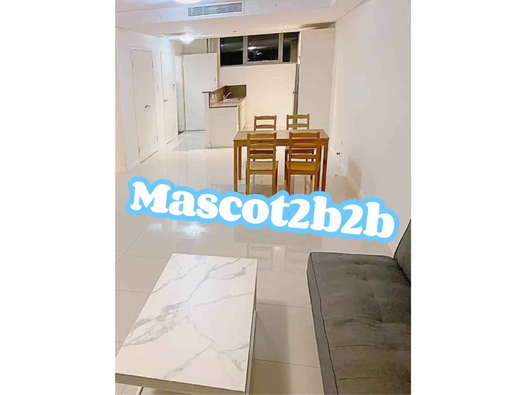 Mascot2b2b带家具空调随时入住