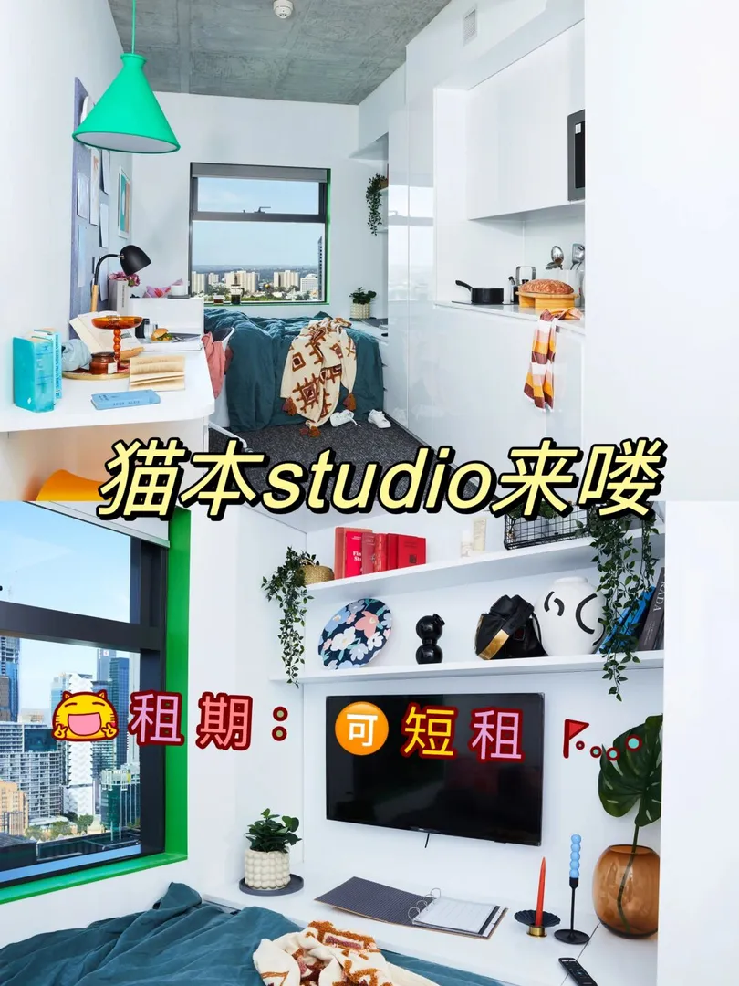 猫本超美studio,随时可租呀😍