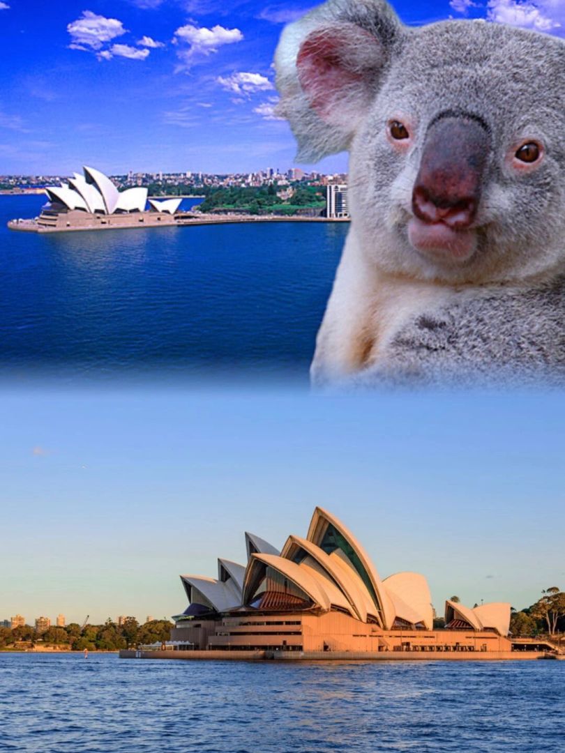 留学那些事,澳洲生活,悉尼生活