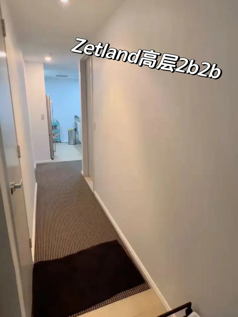 靠近unsw|zetland高层温馨2B2B 包全套家具