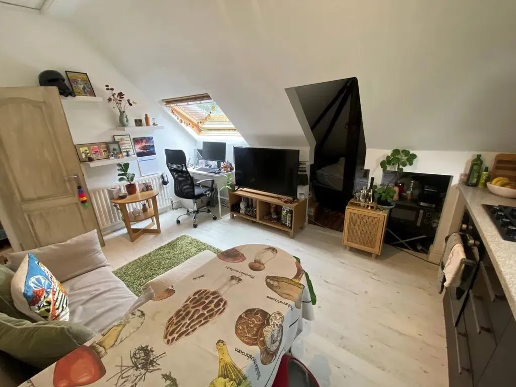 Have you ever seen a Leeds apartment for less than 200? The green ambiance is amazing!