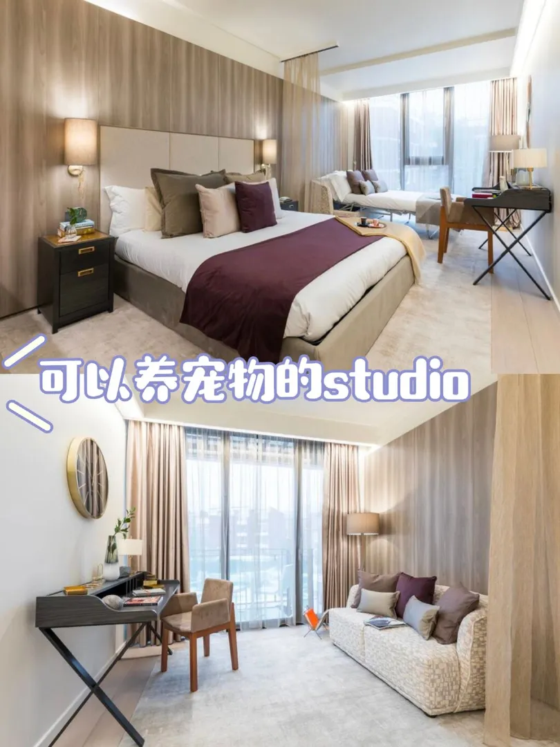 伦敦出租 可以养宠物的温馨studio