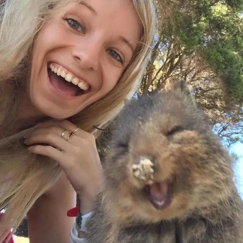 让我看看你相册里的🇦🇺好嘛