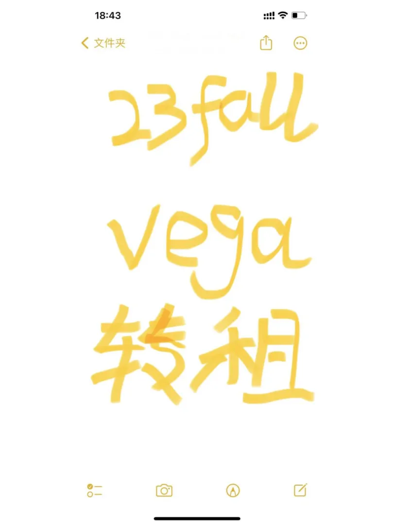 伦敦 23fall vega 转租！！