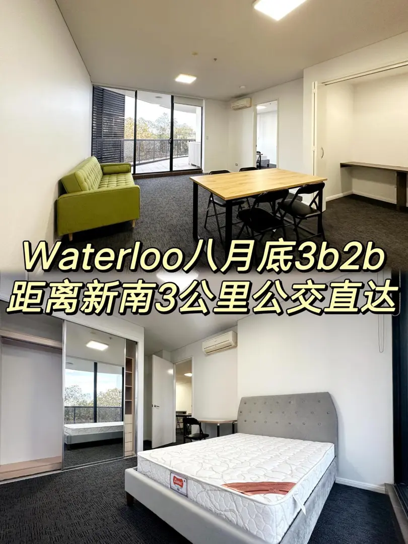 距UNSW三公里的Waterloo3b2b高层风景