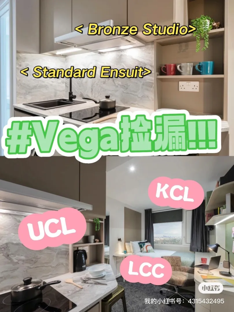 伦敦短租,伦敦长租,留学英国,英国,伦敦,VEGA,KCL,LCC,伦敦转租