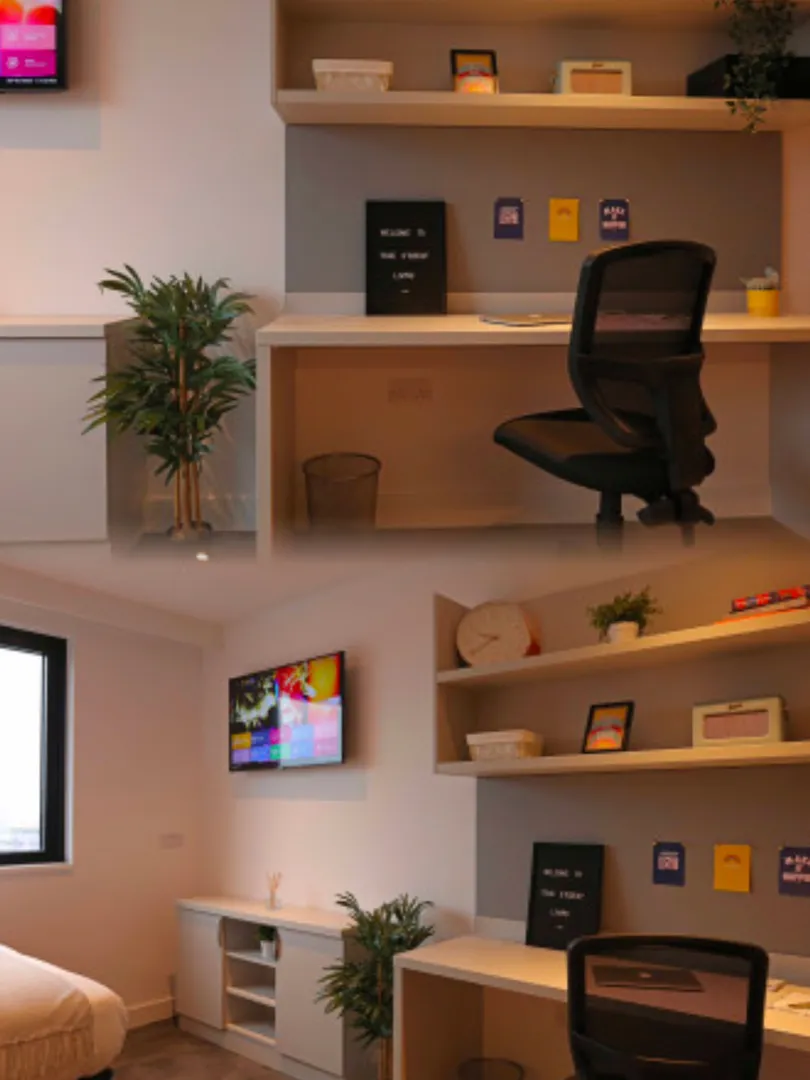 曼城還有低價的studio想包bill的同學別錯過