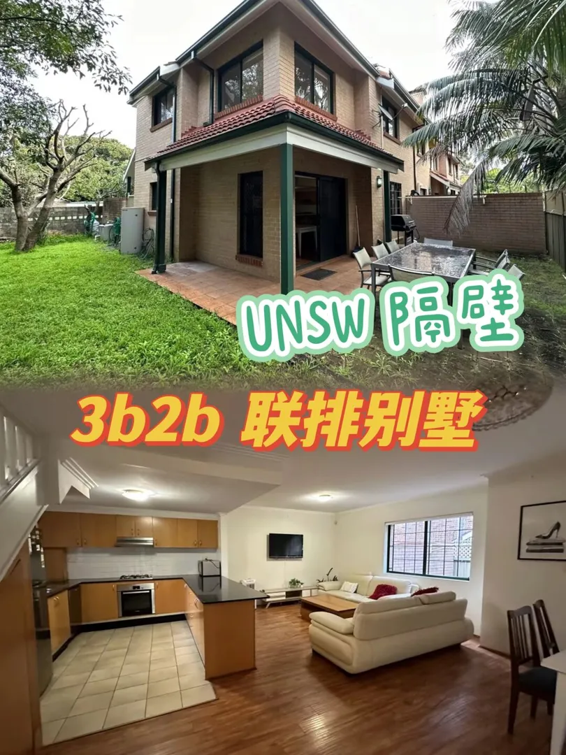 哇😯UNSW旁边的别墅招租🏡