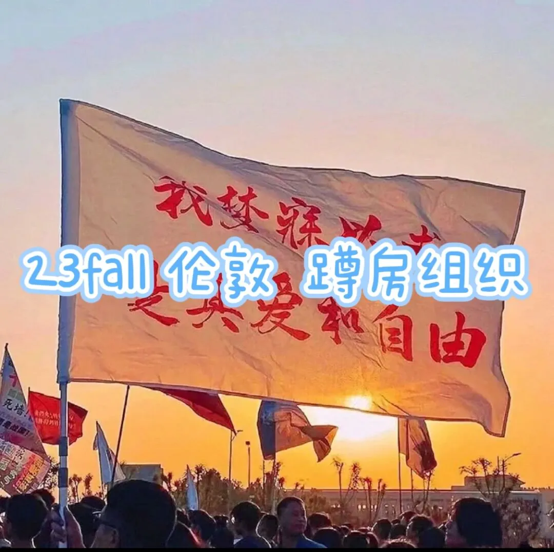 🇬🇧23fall 没找到房快进