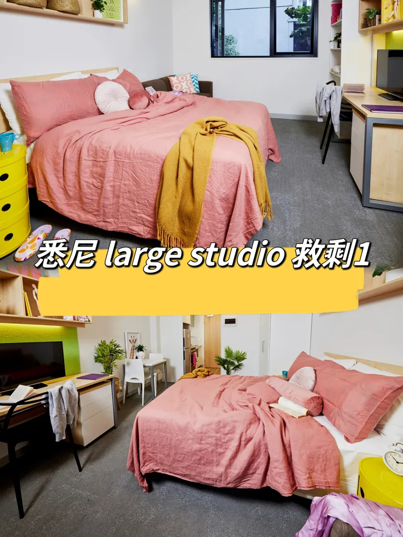 悉尼large studio 10.1 起🐷捡漏❗️