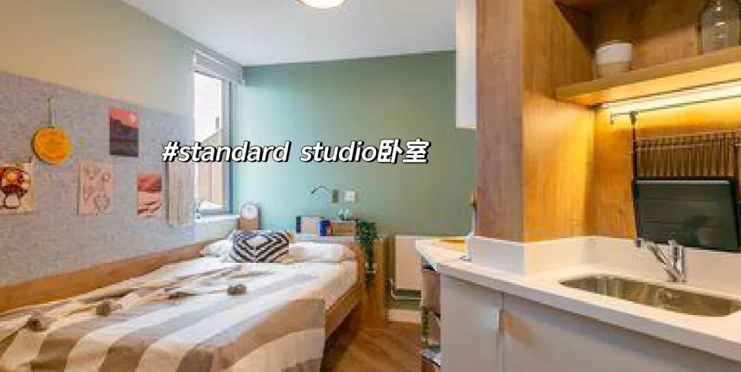 倫敦一區the curve學生公寓