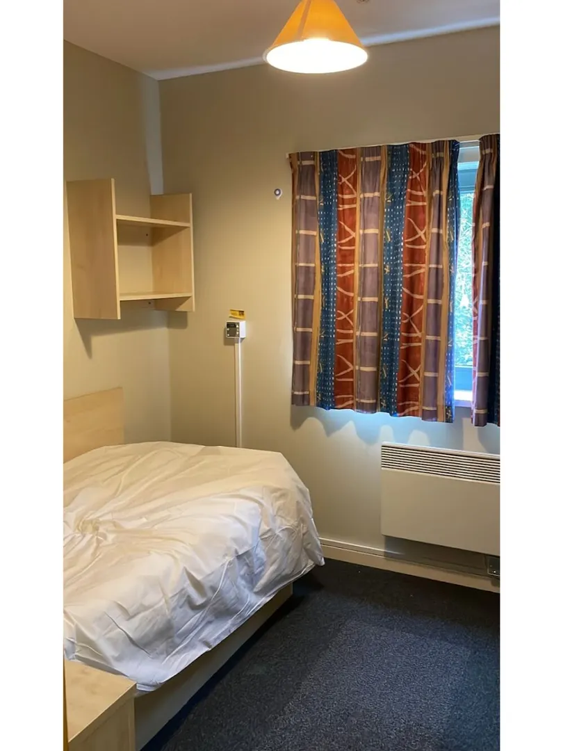 Challenge to secure a student apartment in London, with over 200 options available. Challenge successfully completed. ✔️