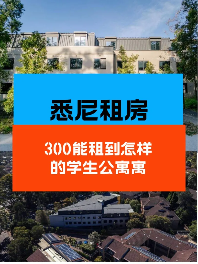 悉尼租房|300🔪能租到怎样的学生公寓💰