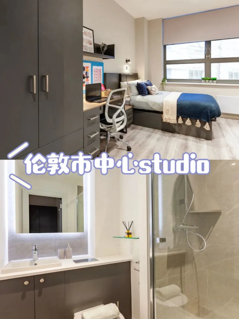 伦敦出租 高级studio