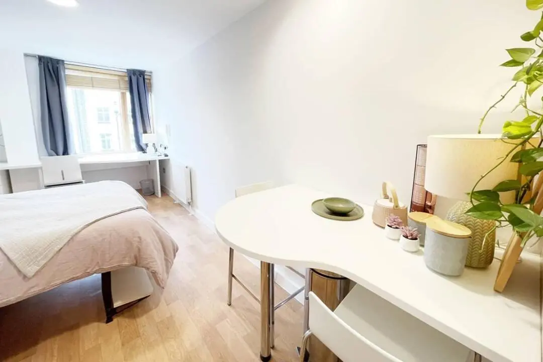 Subletting a spacious 35-square-meter studio apartment only 7 minutes away from UCL! 🎉