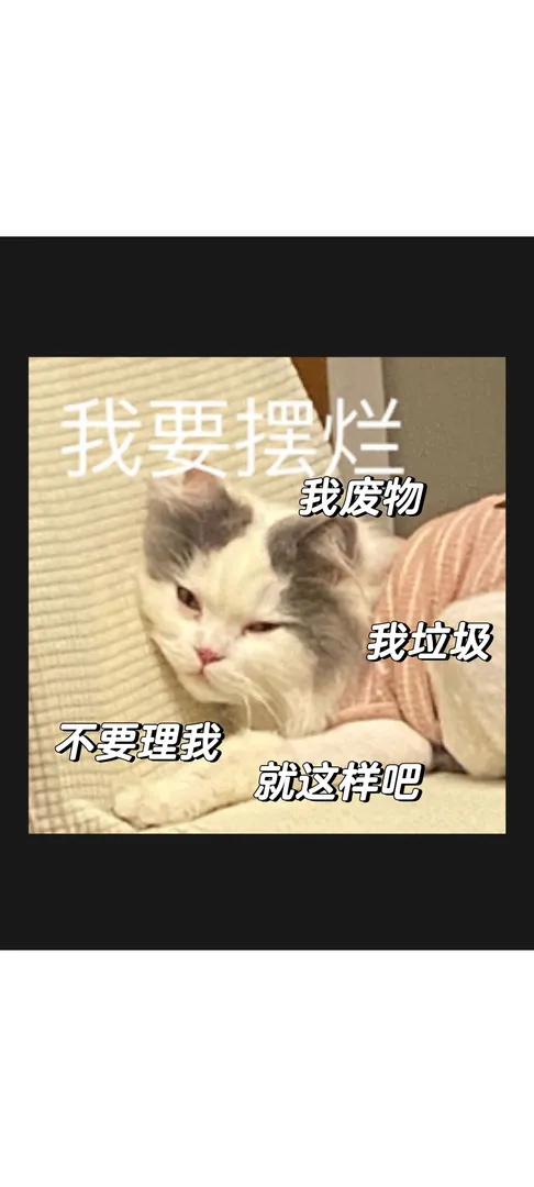 大家一起摆烂吧！生活为什么这么艰难？